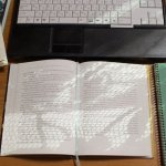 木下レオンの適職占い｜あなたの天職、仕事で武器になる才能は？