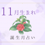 11月生まれの性格・特徴は？基本性質や運勢がわかる！誕生月占い