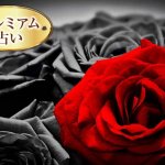 イヴルルド遙華の本気不倫占い｜愛を貫き2人を結ぶ成就鑑定20項