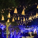 夢占い｜イルミネーションの夢の意味は？幸せになりたい心の暗示