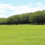 夢占い｜芝生の夢の意味は？健康的で明るい未来を手にするサイン