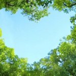 恋愛占い｜本当に今フリー？あの人の直近の恋愛事情◆本命の異性
