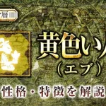 マヤ暦｜黄色い人の性格・特徴は？恋愛や仕事など特性を解説
