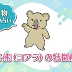 動物キャラ占い【子守熊（コアラ）】の特徴は？性格や恋愛、仕事、相性を解説