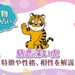 動物キャラ占い【慈悲深い虎】特徴・性格・相性を解説