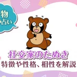 動物キャラ占い【社交家のたぬき】特徴・性格・相性を解説
