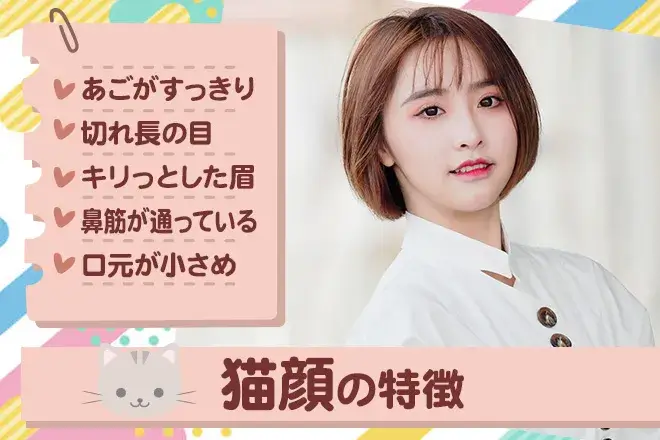 動物顔診断｜あなたの顔はどのアニマル顔タイプ？特徴と性格解説 | うらなえる | 無料占い・今日の運勢
