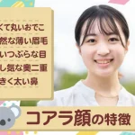 コアラ顔の特徴は？パーツ別のメイク術や代表的な女性芸能人を紹介