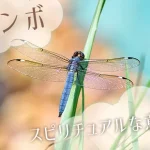 トンボのスピリチュアルな意味とは？特徴や見かけた状況で解説