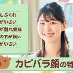 カピバラ顔の特徴は？パーツ別のメイク術や代表的な女性芸能人を紹介