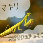 カマキリのスピリチュアルな意味とは？特徴や見かけた状況で解説