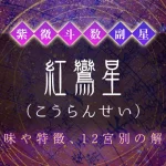 紫微斗数の副星【紅鸞星】の特徴・12宮別の解釈を解説