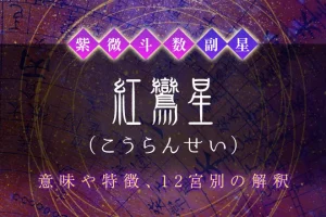 紫微斗数の副星【紅鸞星】の特徴・12宮別の解釈を解説