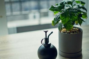 最近あの人は、あなたの事を考えた？【恋占い】2人の関係への想い