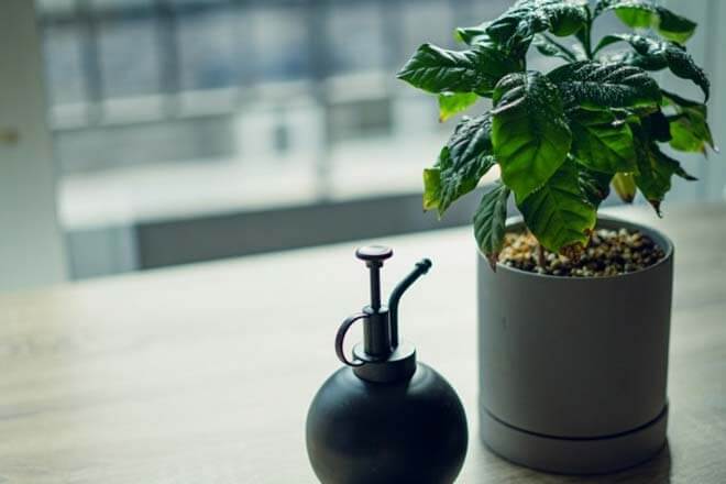 最近あの人は、あなたの事を考えた？【恋占い】2人の関係への想い