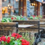 今の関係変わる？付き合える？【無料恋占い】あの人の真意/決断