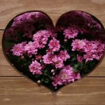 あの人と付き合ったら…うまくいく？2人の全相性【心・体・恋愛】