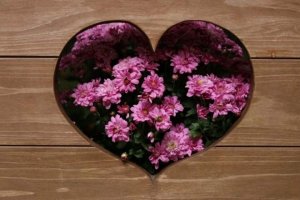 あの人と付き合ったら…うまくいく？2人の全相性【心・体・恋愛】
