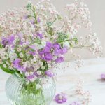 あの人の本音を探ります【無料恋占い】あなたに対する期待/転機