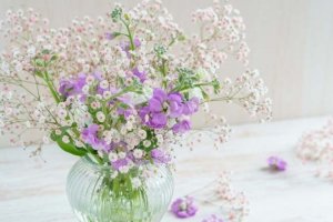 あの人の本音を探ります【無料恋占い】あなたに対する期待/転機