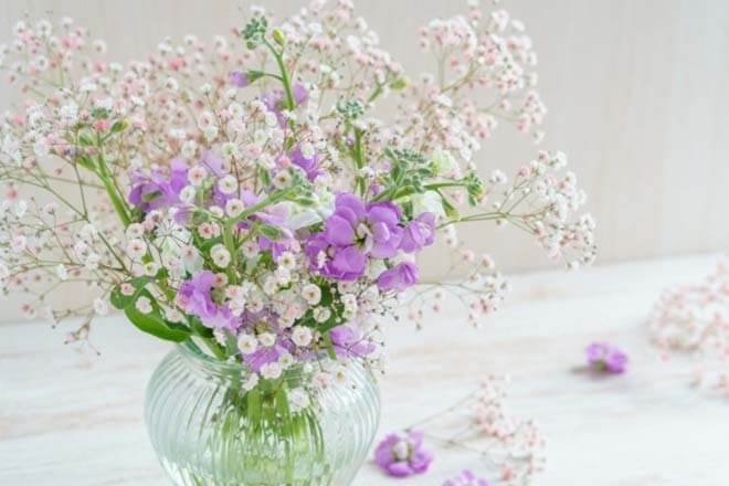 あの人の本音を探ります【無料恋占い】あなたに対する期待/転機