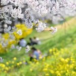 この片想いが実る可能性は高い？【無料恋占い】2人の距離/想い