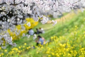 この片想いが実る可能性は高い?【無料恋占い】2人の距離/想い