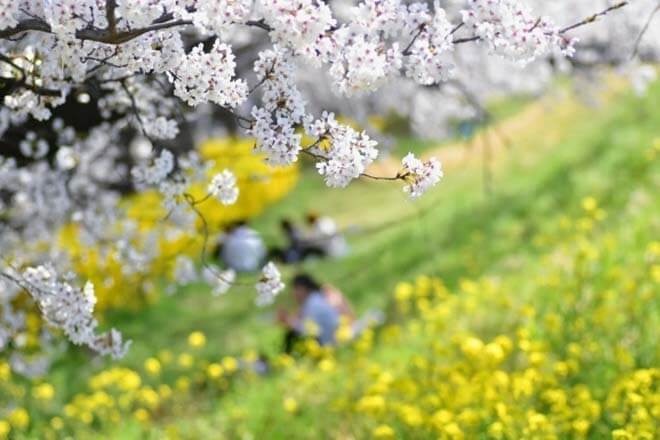 この片想いが実る可能性は高い？【無料恋占い】2人の距離/想い