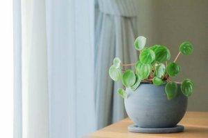 他言無用です【無料恋占い】あの人があなたに秘密にしていること