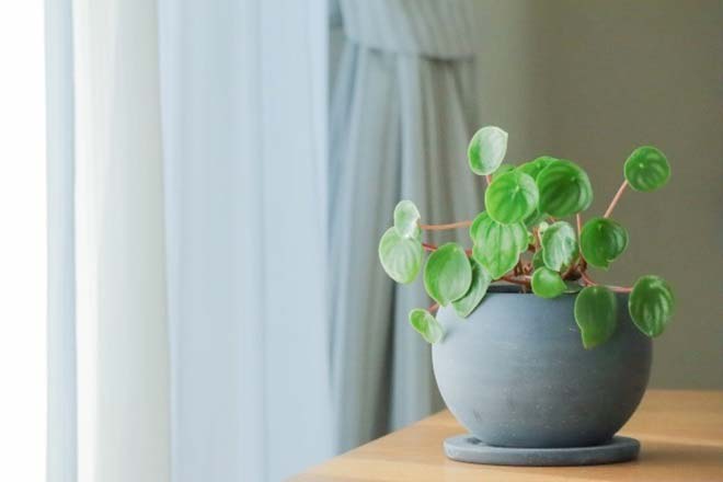 他言無用です【無料恋占い】あの人があなたに秘密にしていること