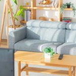 今あの人が興味を持っているのは？あの人の秘密、心惹かれる魅力