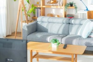 今あの人が興味を持っているのは?あの人の秘密、心惹かれる魅力