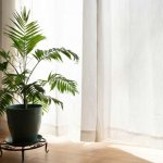 今さら、でも恋してる。あの人が好き…この片想いは成就する？