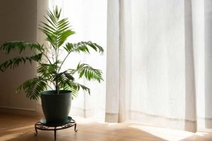 今さら、でも恋してる。あの人が好き…この片想いは成就する?