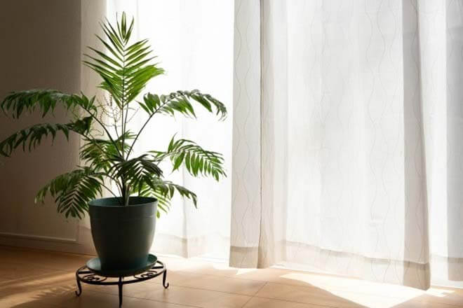 今さら、でも恋してる。あの人が好き…この片想いは成就する？