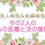 チャクラ相性占い｜魂の繋がり徹底霊視【2人の恋愛＆結婚相性】進展