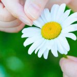 好きだけど叶わない？【既婚・職場・略奪】2人の接点・恋の可能性