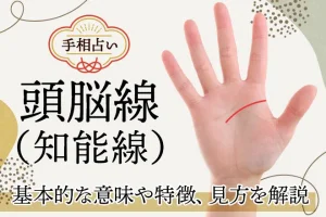 頭脳線｜基本的な意味や特徴、見方は？種類別に解説【手相占い】