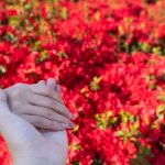 あと一歩が踏み込めない…あの人にとっての私、恋愛対象？