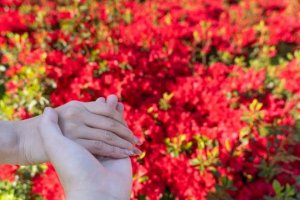 あと一歩が踏み込めない…あの人にとっての私、恋愛対象？
