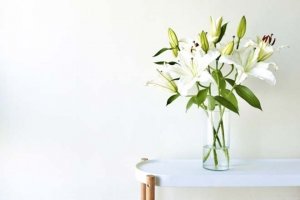 実はこんなに想われてます【無料恋占い】あの人の意識◆関係変化