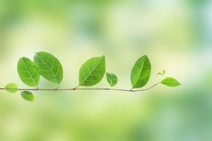 九星気学で占う2026年下半期の運勢｜あなたに訪れる運命・転機【無料】