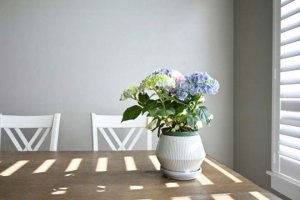 あの人が周りに見せる【表の顔】と隠す【裏の顔】あなたへの本心
