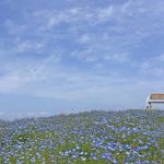 恋の進展を期待してもい大丈夫？【無料恋占い】2人の恋脈＆ご縁