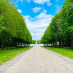 四柱推命【2026年下半期の運勢】あなたの総合運を無料で占う