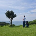 アプローチ待ってもいい？【無料恋占い】あの人の恋温度/次行動