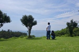 アプローチ待ってもいい？【無料恋占い】あの人の恋温度/次行動
