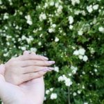片思いの恋…叶う見込みは？【恋脈占い】あの人のあなたへの本心