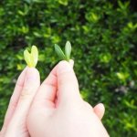 あの人と結婚できますか？【2人の結婚相性・生活相性】運命の行方