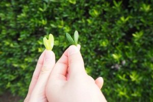あの人と結婚できますか?【2人の結婚相性・生活相性】運命の行方
